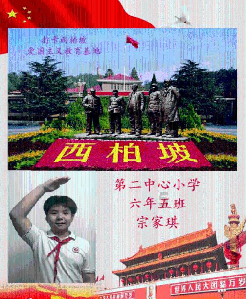 春雨直播app